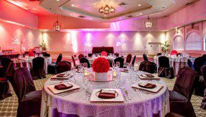 Adult Webcam Conference