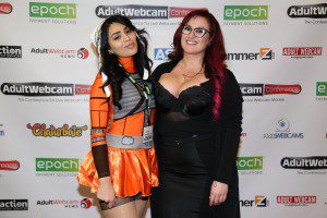Adult Webcam Conference
