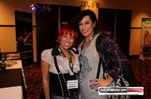 adult webcam conference