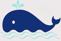 adult webcam whale
